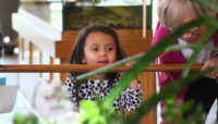 a child looking at an animal at Sand Ridge Nature Center
