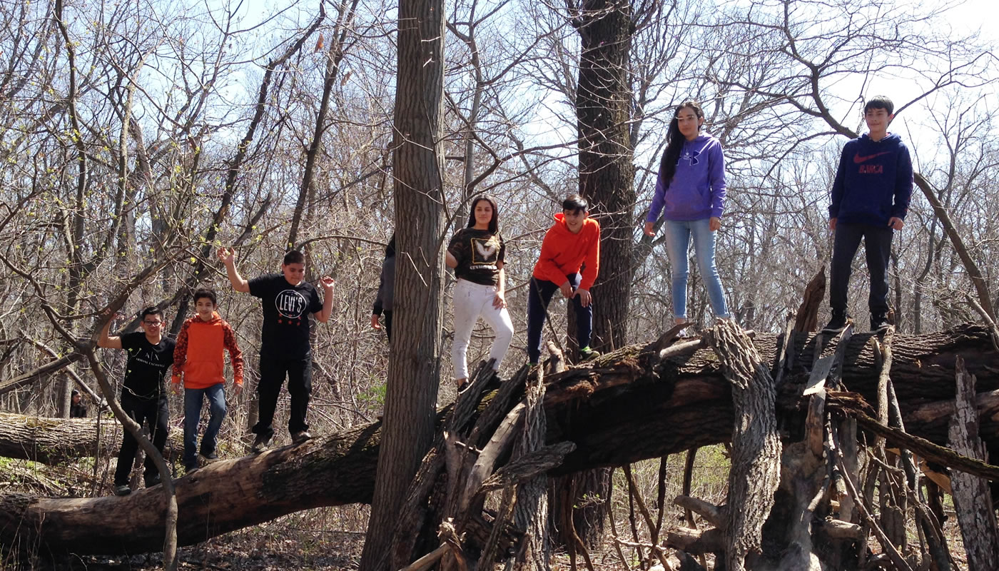 kids playing on a log