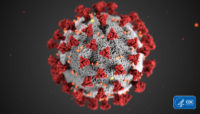 illustration of the COVID-19 coronavirus from the CDC