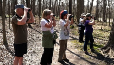 a group birding at Thatcher Woods