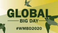 Global Big Day WMBD2020