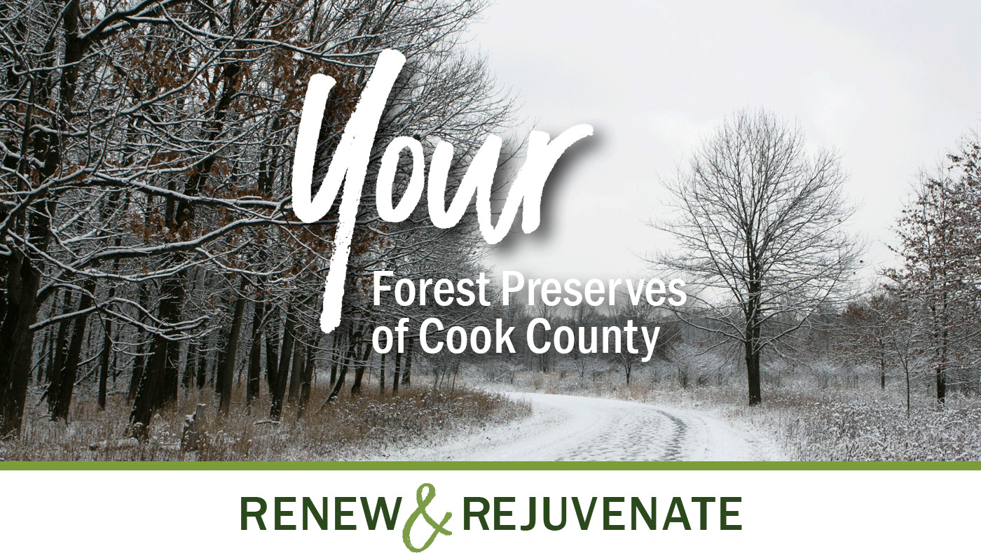 Renew and Rejuvenate in Your Forest Preserves of Cook County