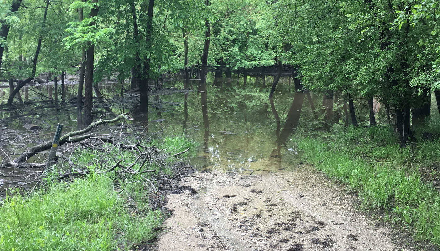 spring flooding covers the Des Plaines Trail