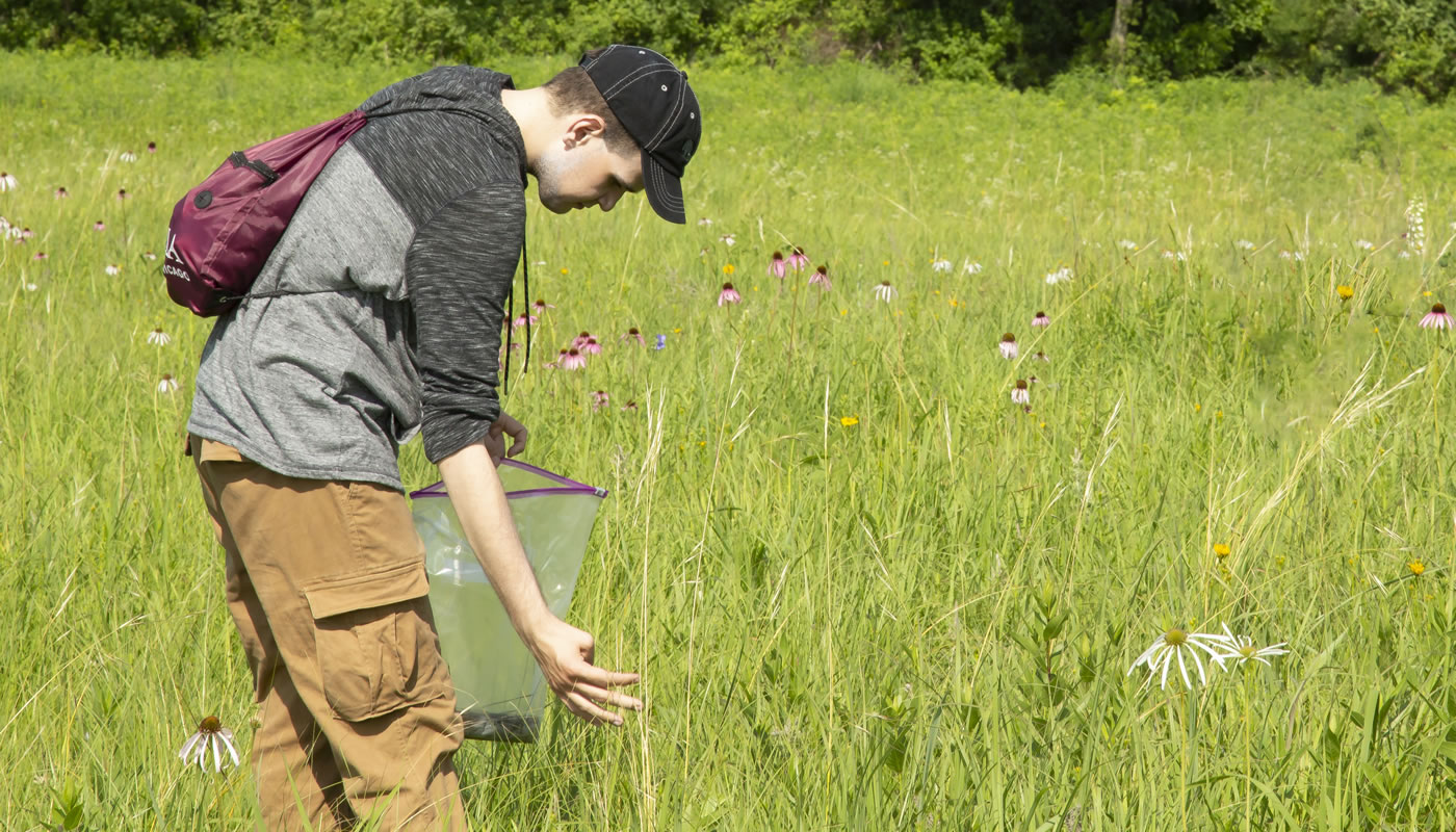 Volunteer Stephen Matz collecting seeds.