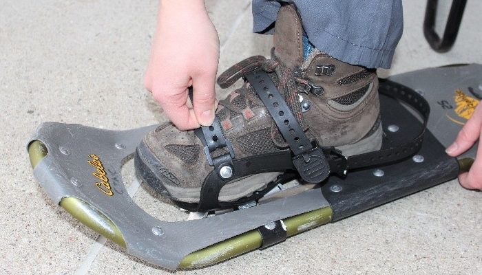 Tightening snowshoe boot strap.