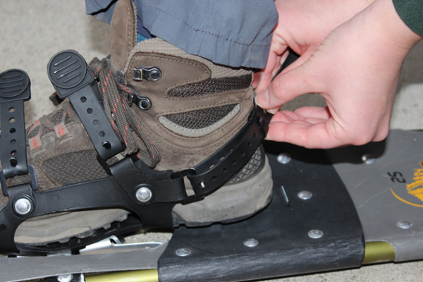 Tightening snowshoe heel strap.