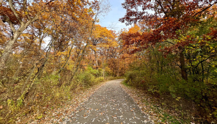 Thorn Creek Trail at Sauk Trail Woods surrounded by trees with leaves changing from green to reds and oranges