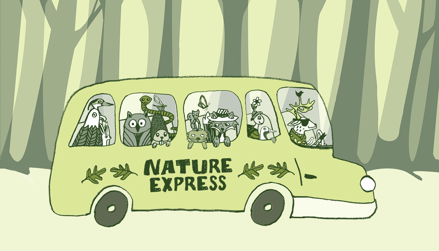 an illustration of animals riding a bus through the woods