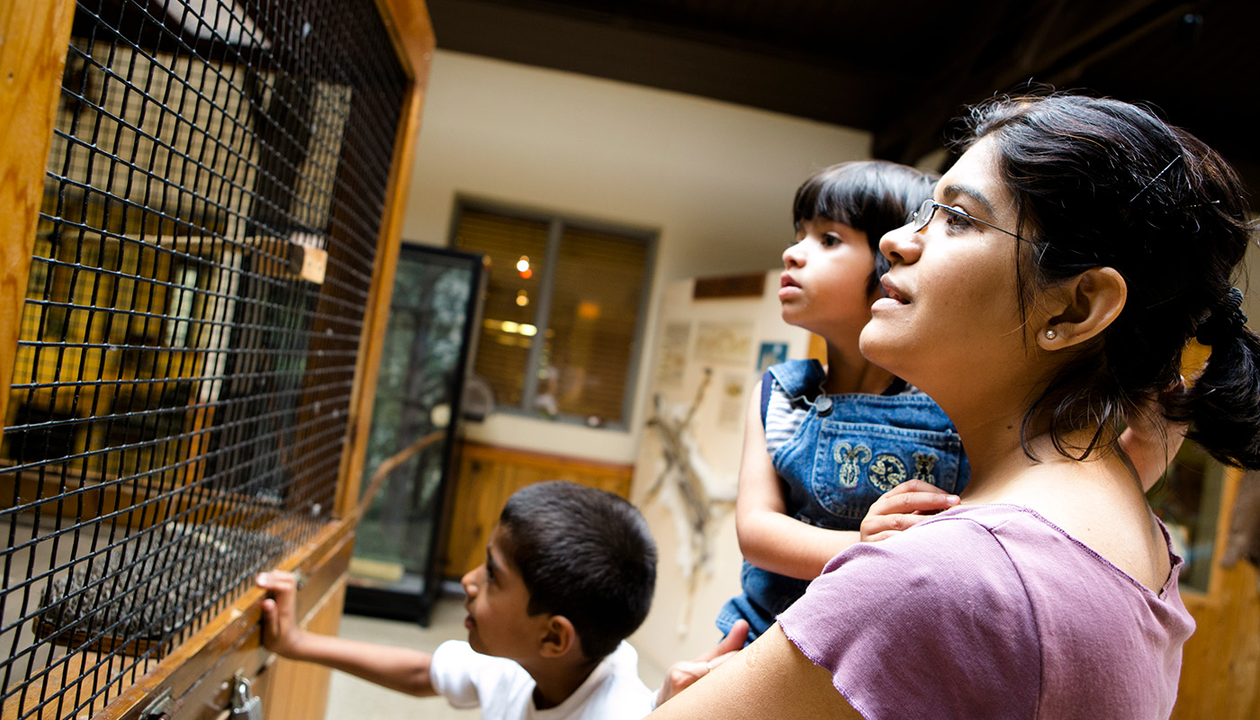 A family looks at an ambassador animal exhibit