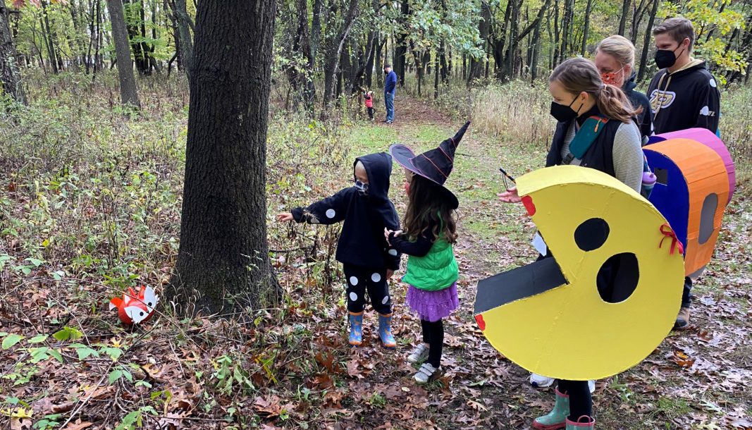 Children at a pumpkin hunt