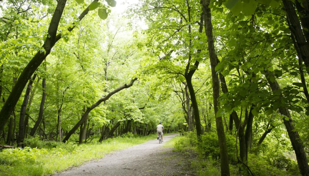 Major Renovations Begin On Forest Preserves Of Cook County’s Des ...