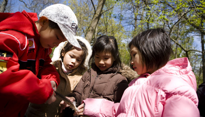 A naturalist shows and discusses a tiny owl and owl feathers at an Earth Day event.