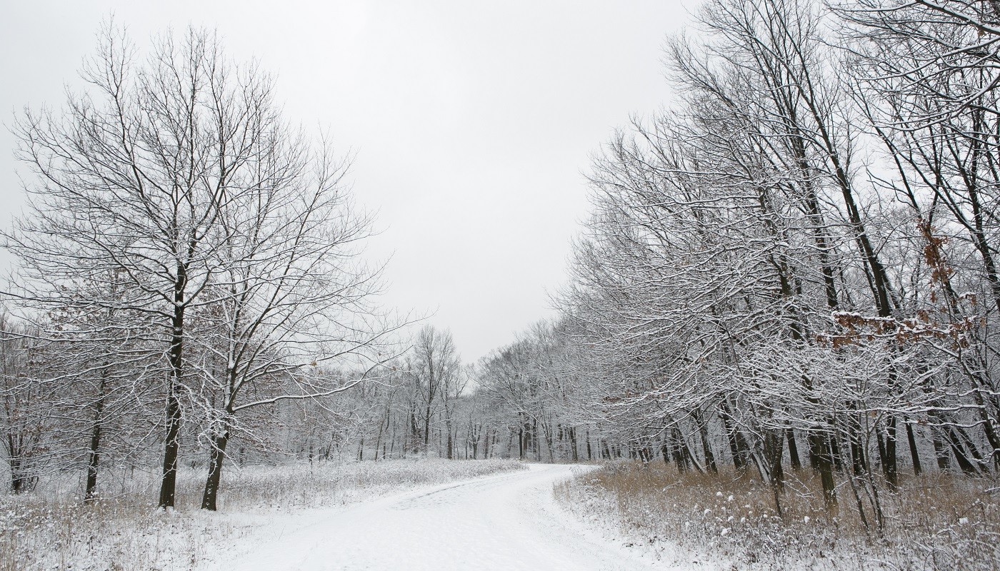 Snow-covered trail at Bunker Hill Forest Preserve