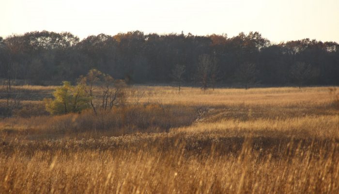 A landscape image of Poplar Creek
