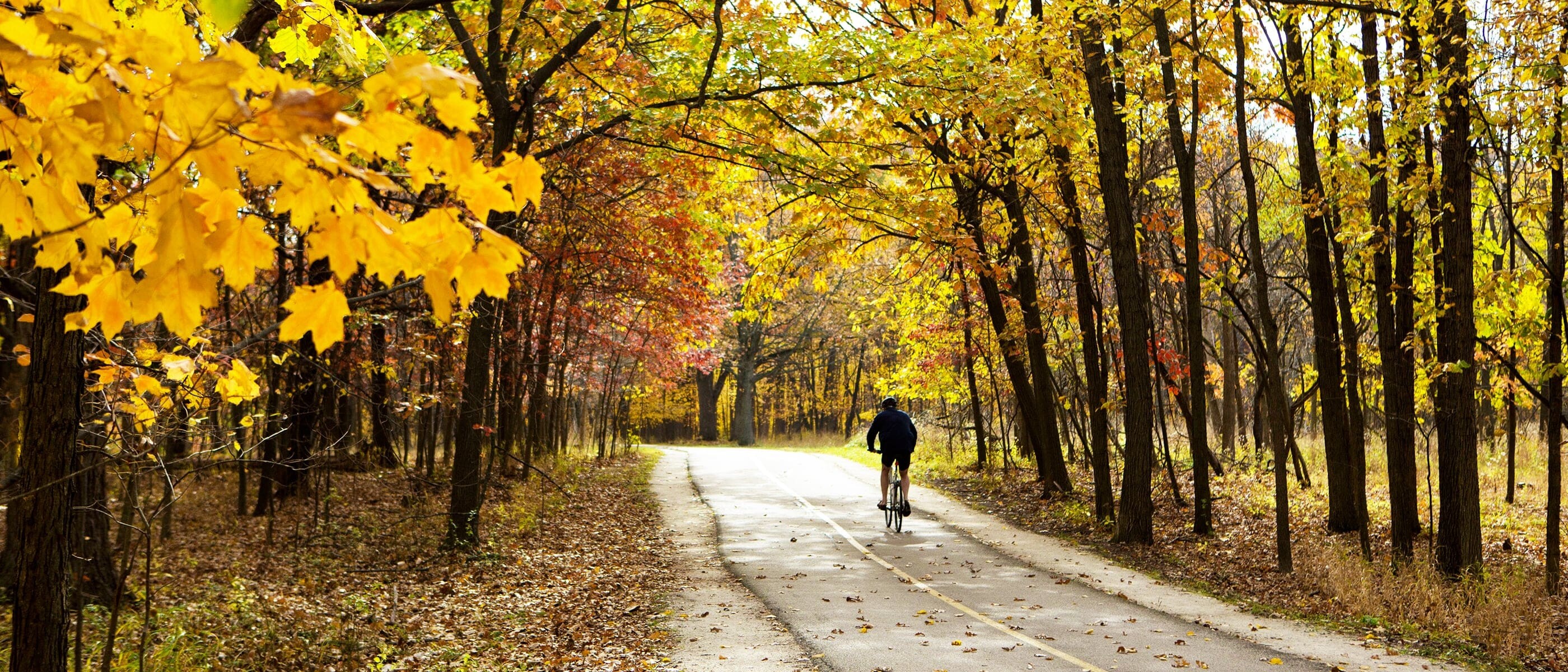 Cyclist enjoying vibrant fall colors on the North Branch Trail at Miami Woods.