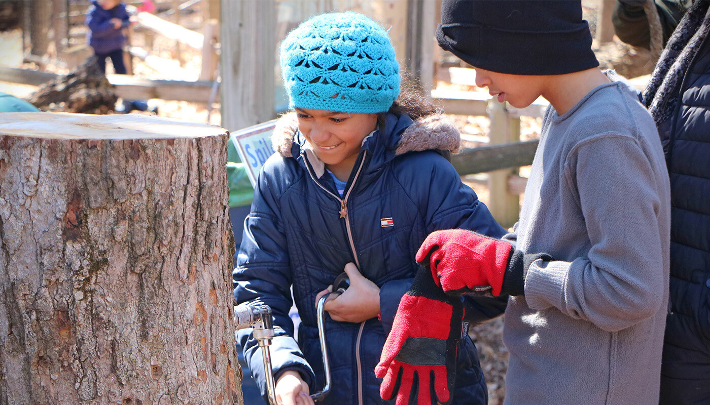 Children learning about maple syrup tapping using a tree stump and tool.