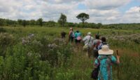 A group of educator workshop attendees walking through a prairie.