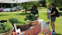 A vendor selling vegetables outdoors.