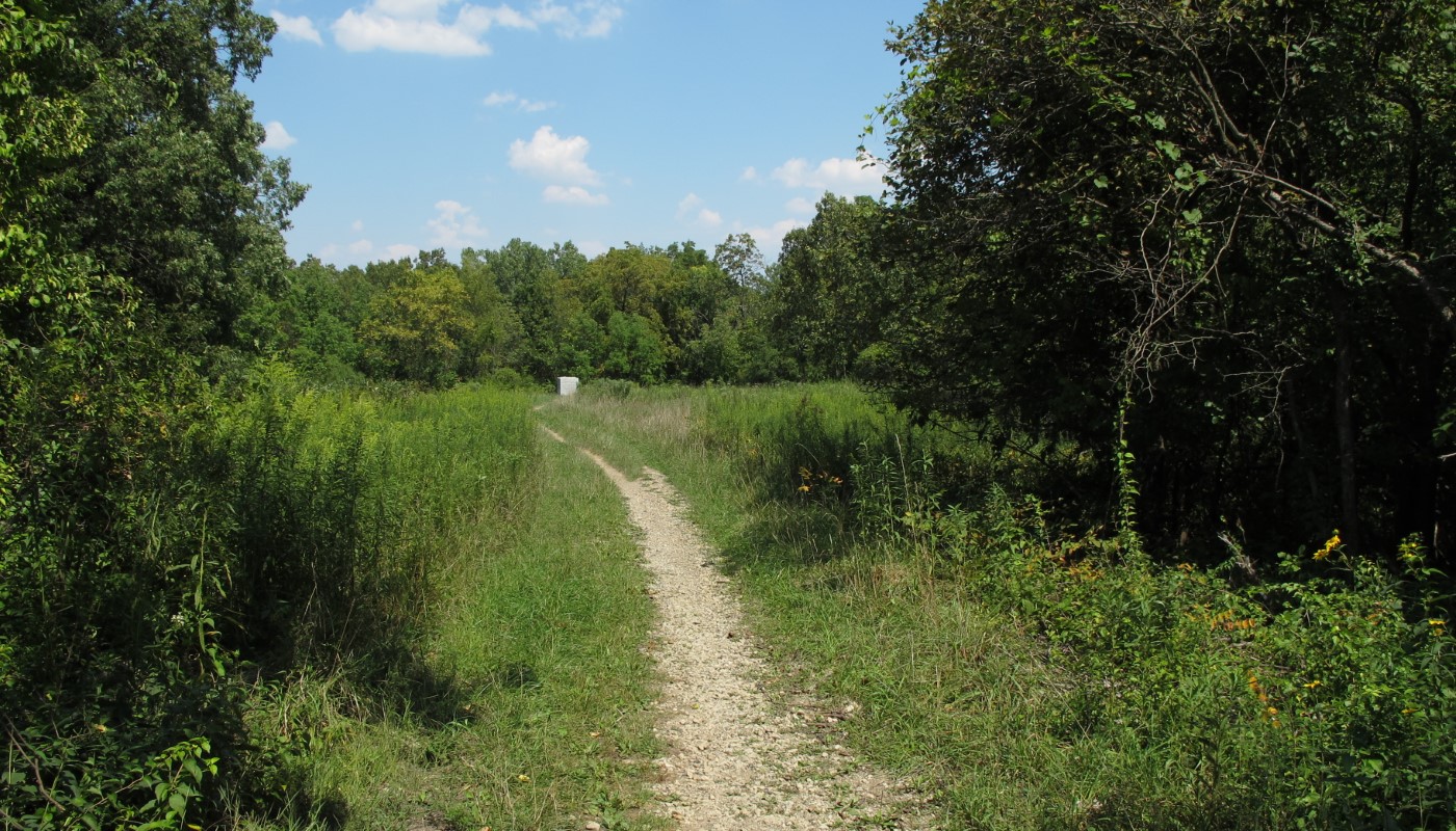 A forested trail winding through the woods with a plaque in the distance.