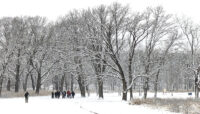 a group of people walking on a trail covered by snow