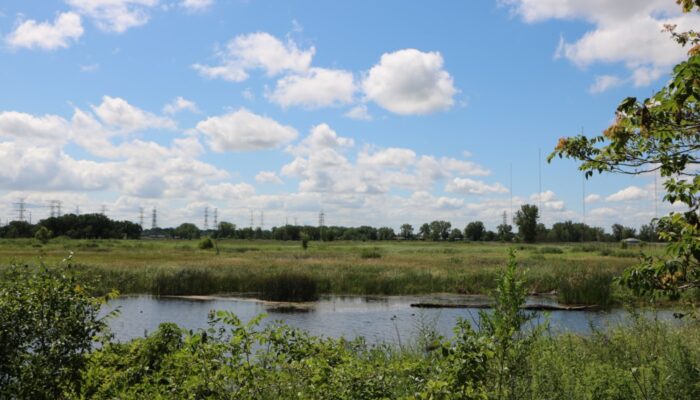 A prairie and wetland landscape.