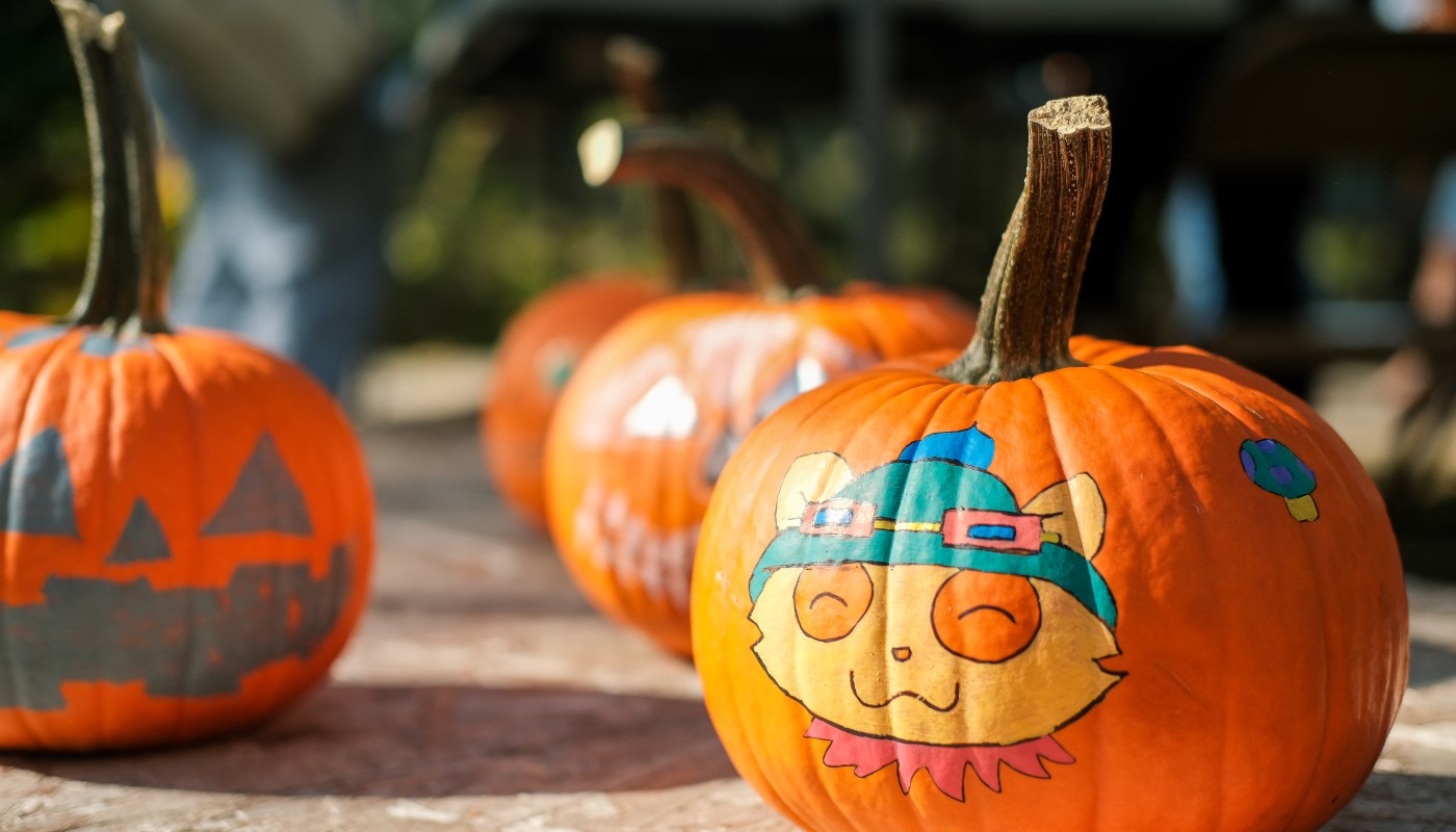 A painted pumpkin.