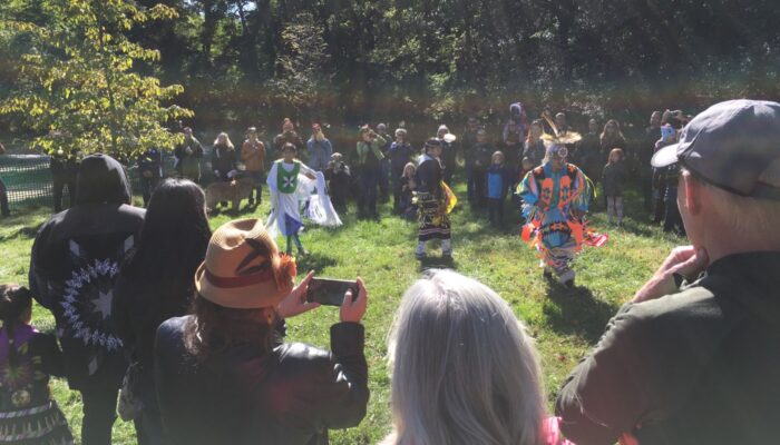 A group of performers at a powwow event.