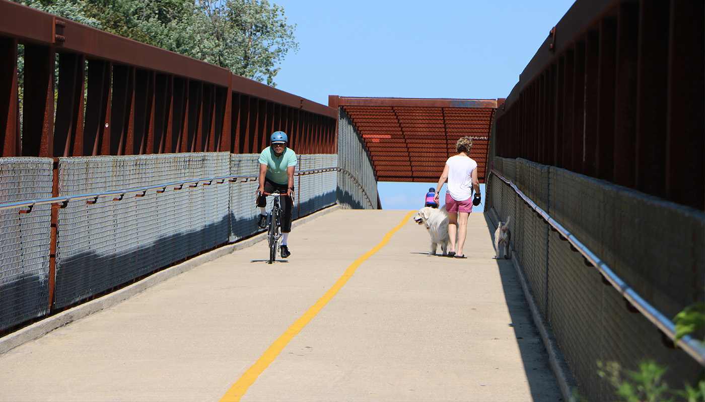 a cyclist and a dog walker pass each other on a trail