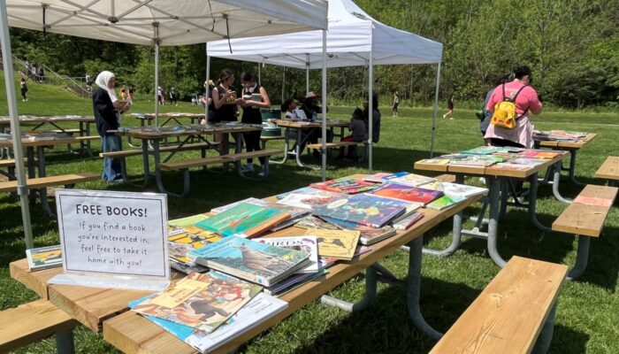 A table showcasing an array of books.