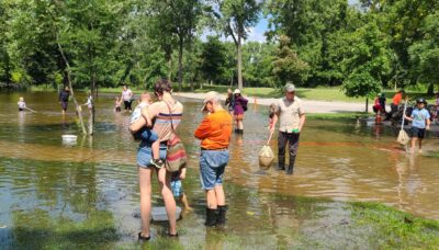 A group of people standing in a pond.