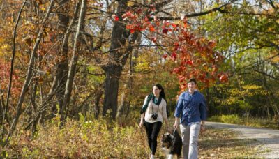 A couple with a dog walking through the forest in fall.