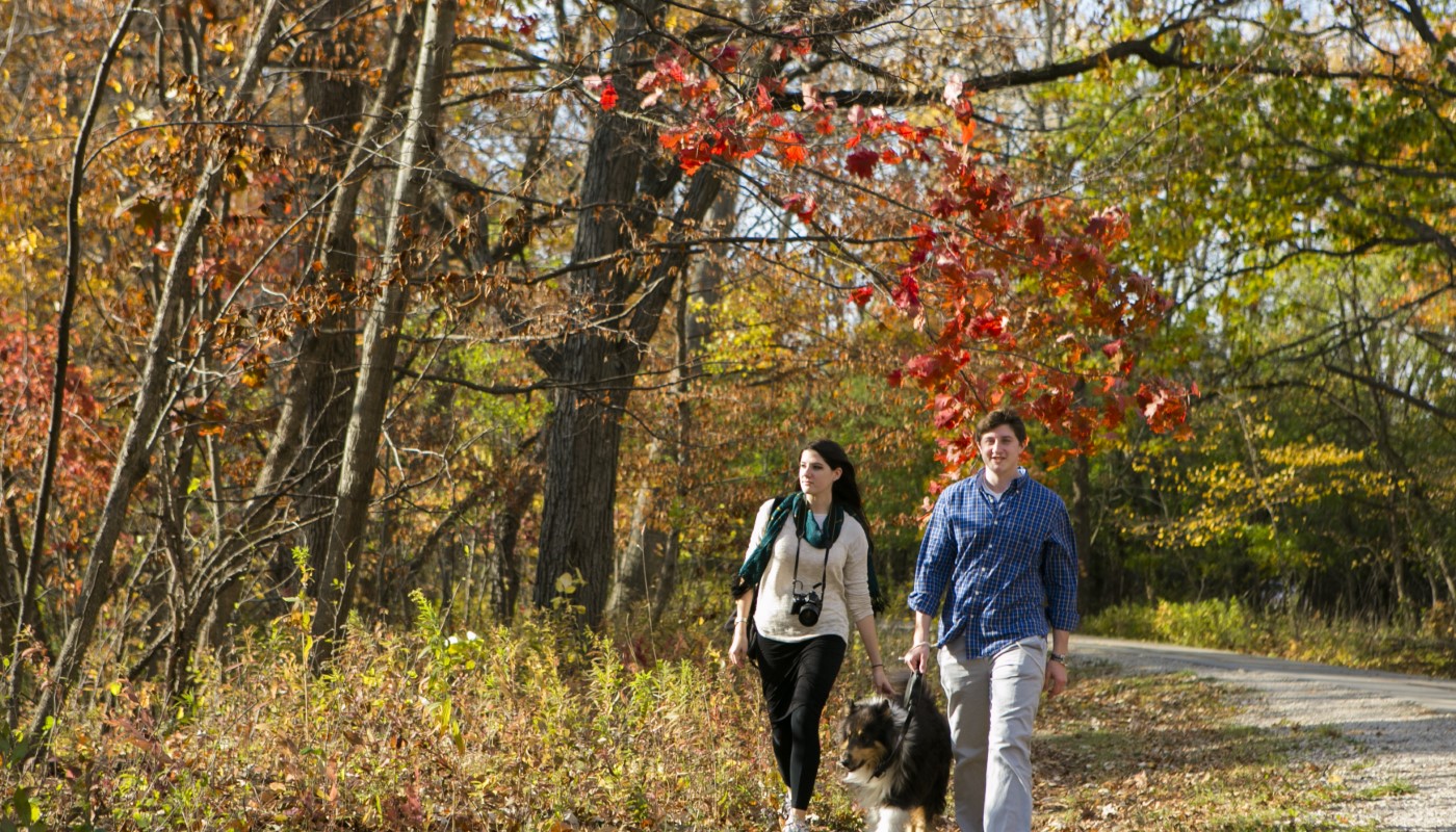 A couple with a dog walking through the forest in fall.