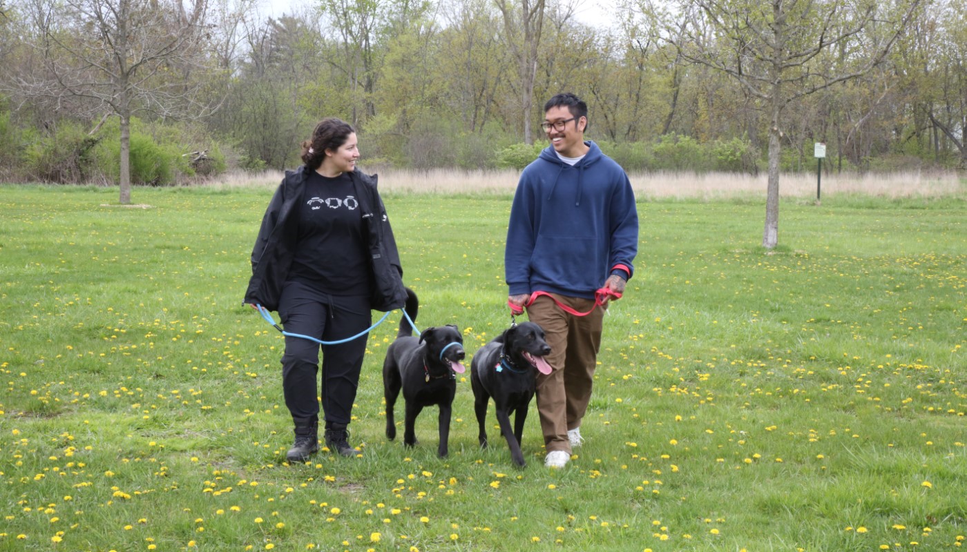 Two people walking two dogs together.