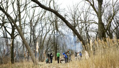 Volunteers at Eggers Grove, clearing brush.