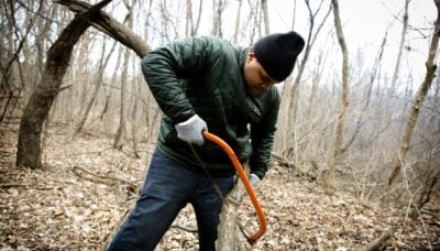 A person cutting invasive brush at a volunteer workday event.