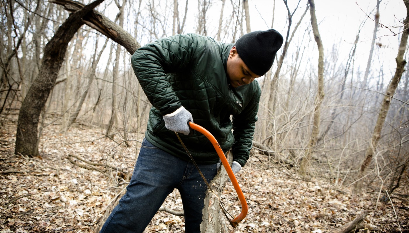 A person cutting invasive brush at a volunteer workday event.