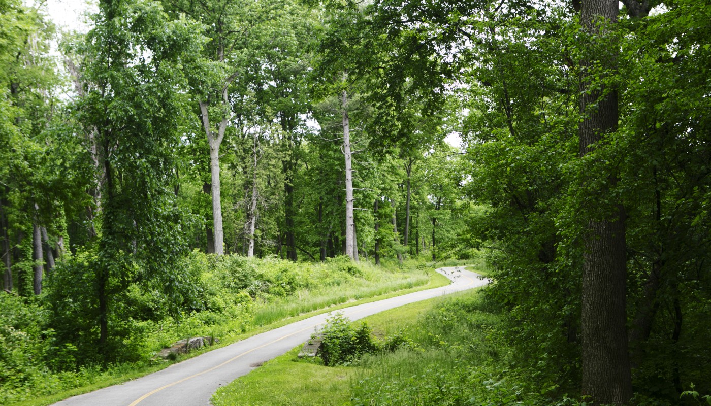 The Salt Creek Trail System at Bemis Woods.