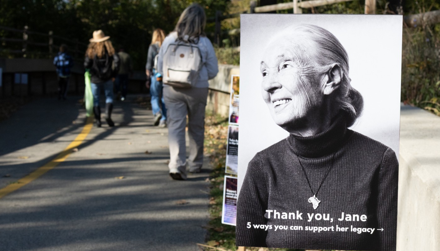A poster of Jane Goodall nearby an outdoor walking trail.