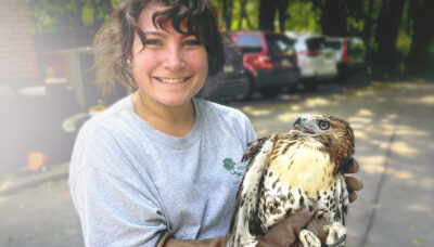 Staff pictured alongside a red-tailed hawk, one of the Forest Preserves’ animal ambassadors.