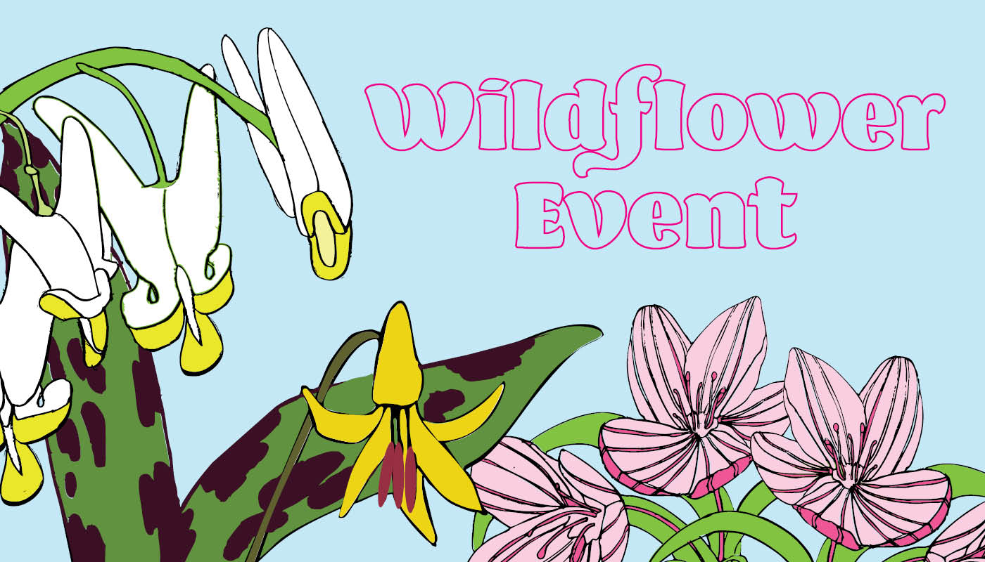 Wildflower Walk event series graphic