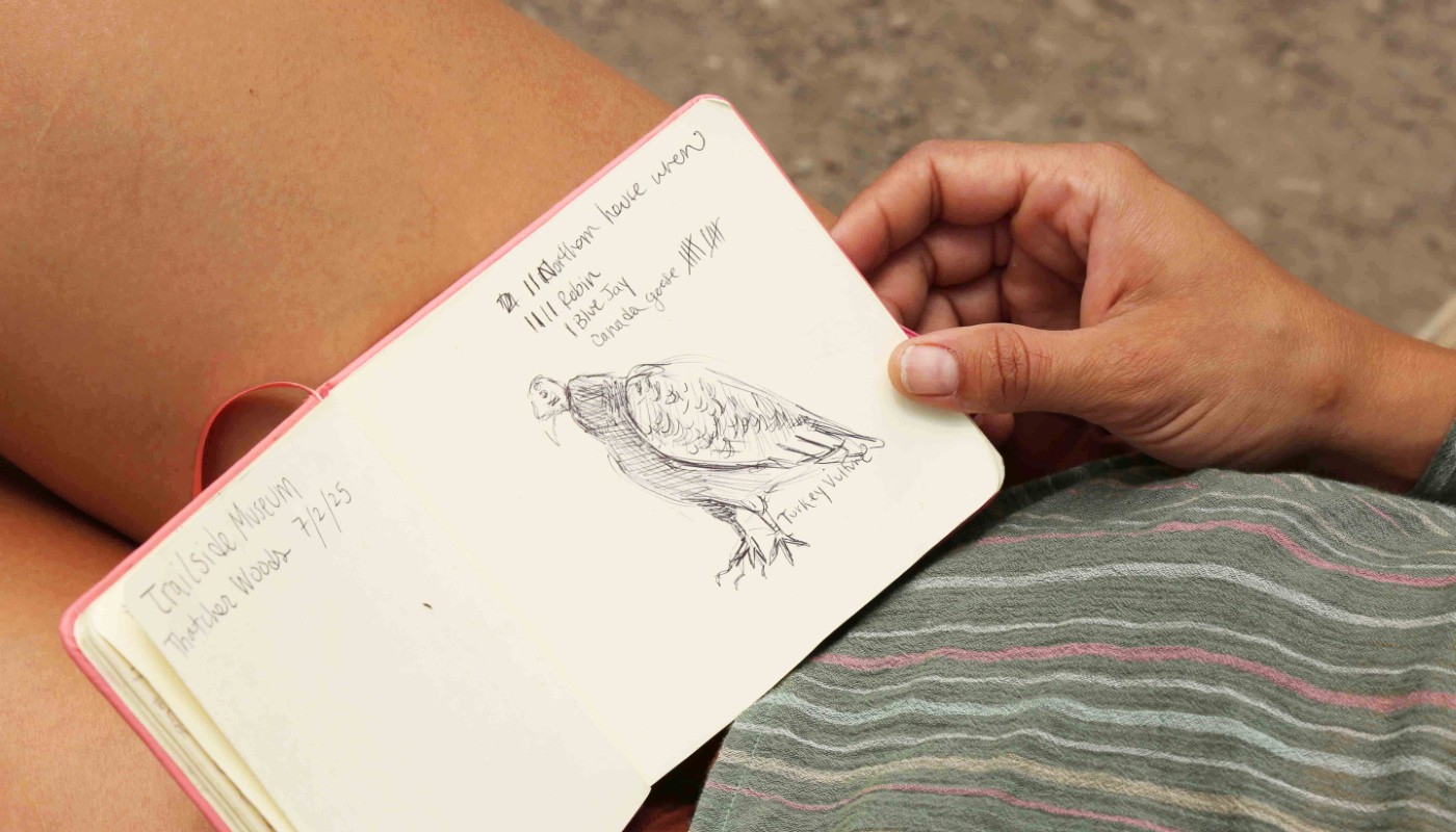 A close-up shot of a person in the process of nature journaling.