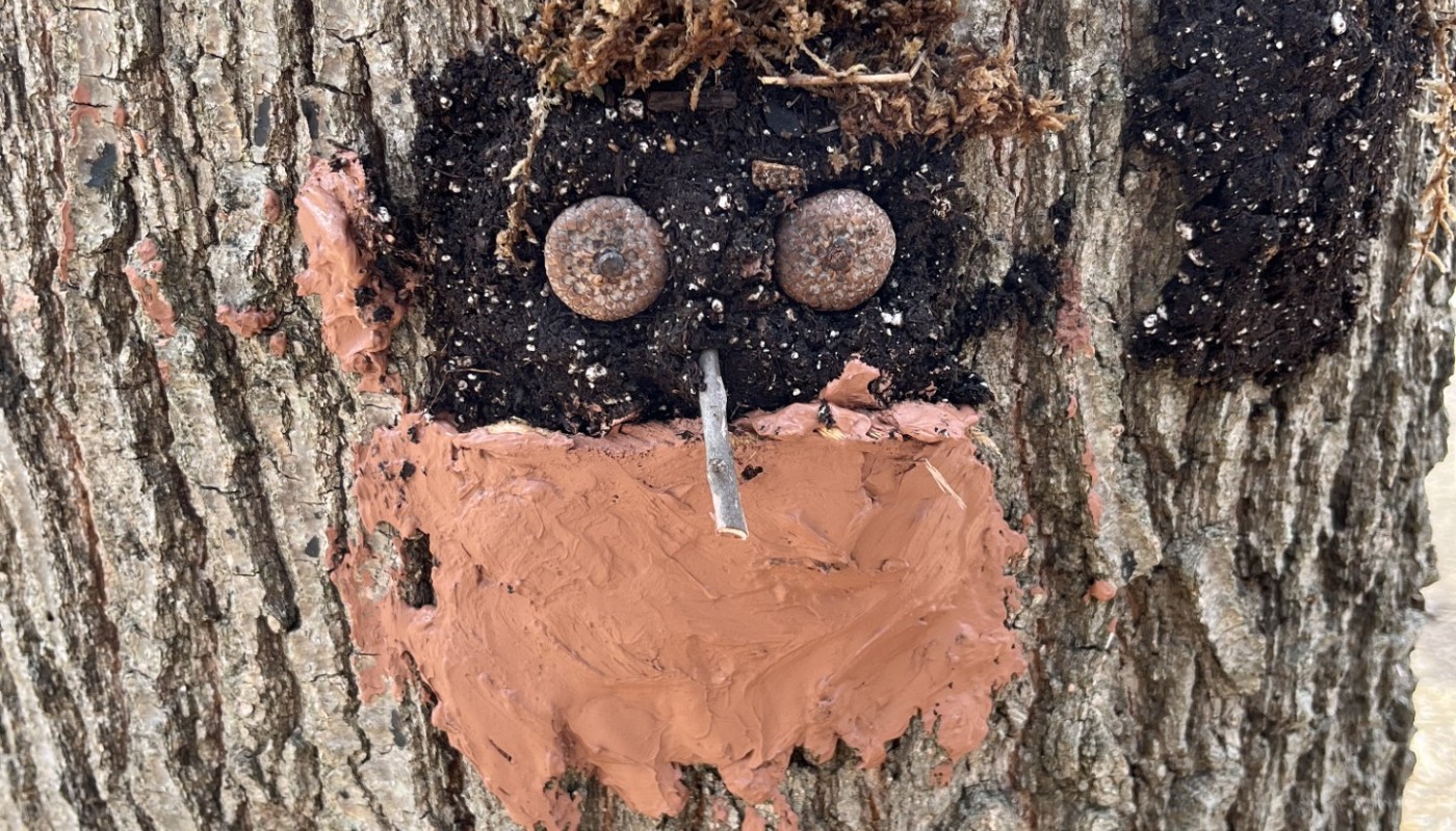 An artistic rendering of a face on the bark of a tree.