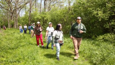 Staff and members of the public walking through the forest during an event.