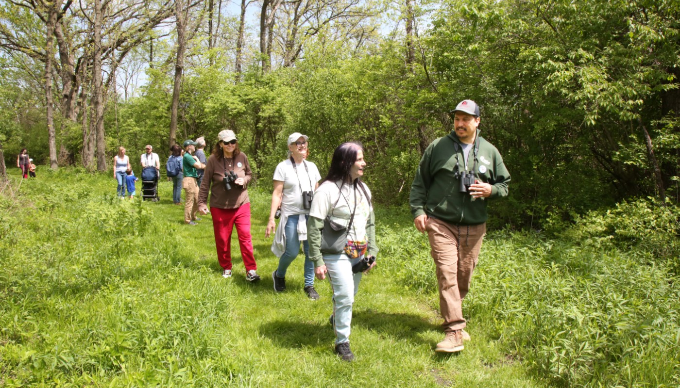 Staff and members of the public walking through the forest during an event.