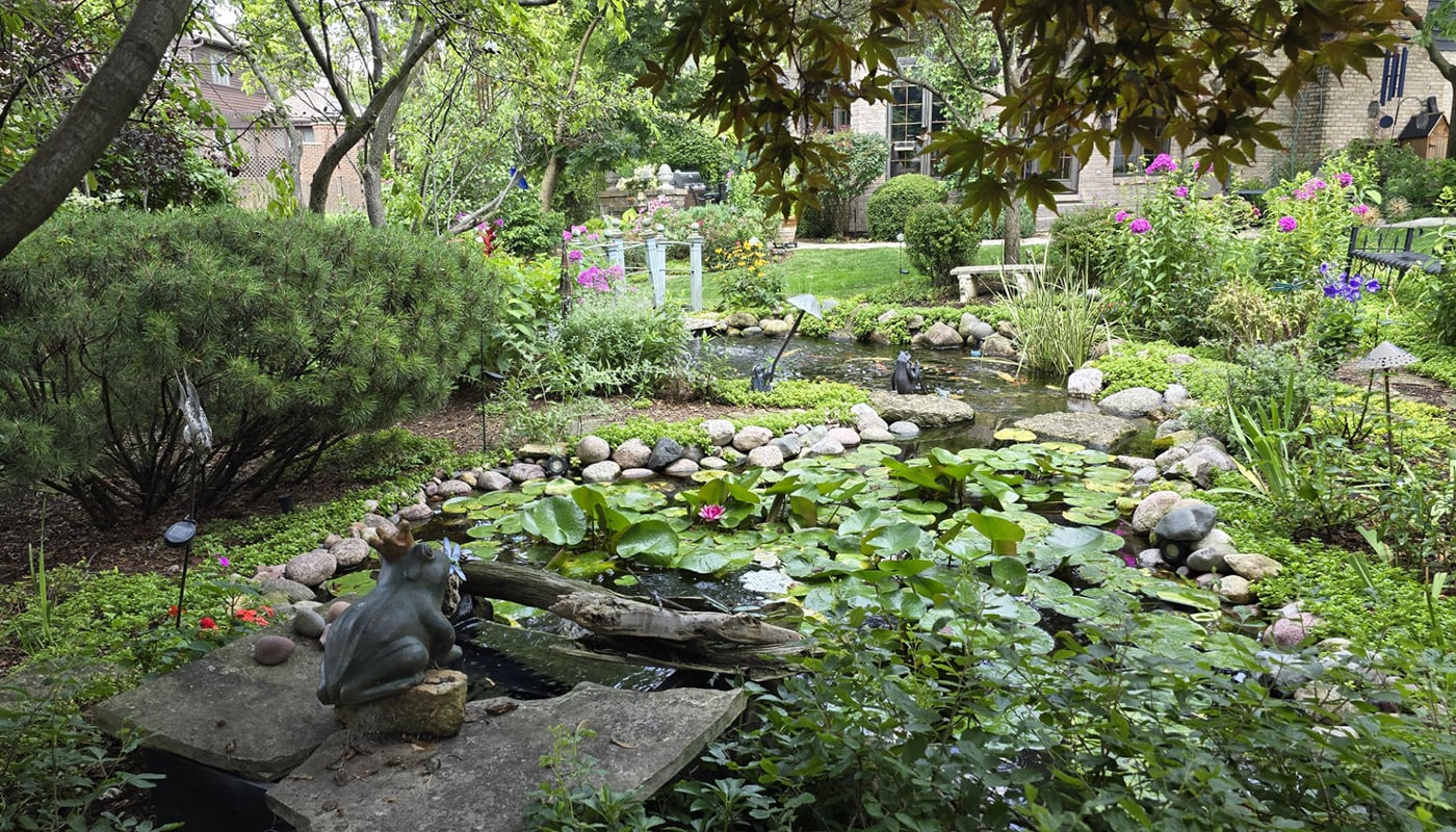 a yard with green bushes and plants with a stream running through the middle