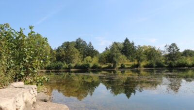 A large pond.