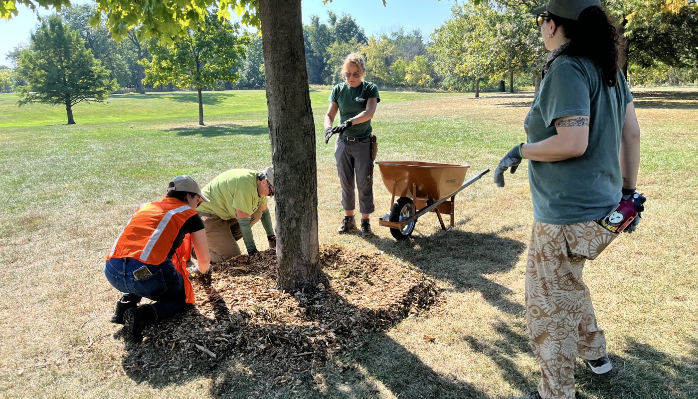 A group of people participating in a tree, trimming, love and care event.