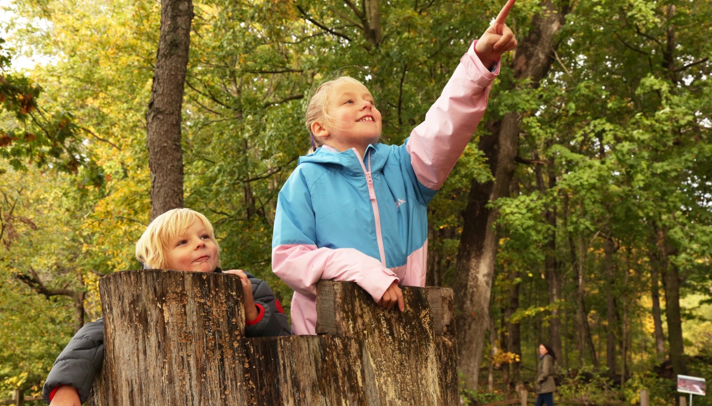 Children interacting with nature at an event in a forest.