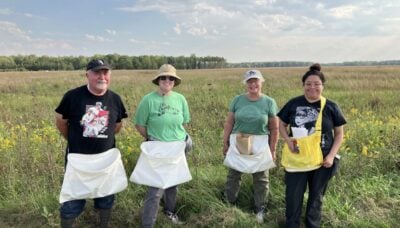 A group of people standing in a grassy meadow during a seed collecting event.