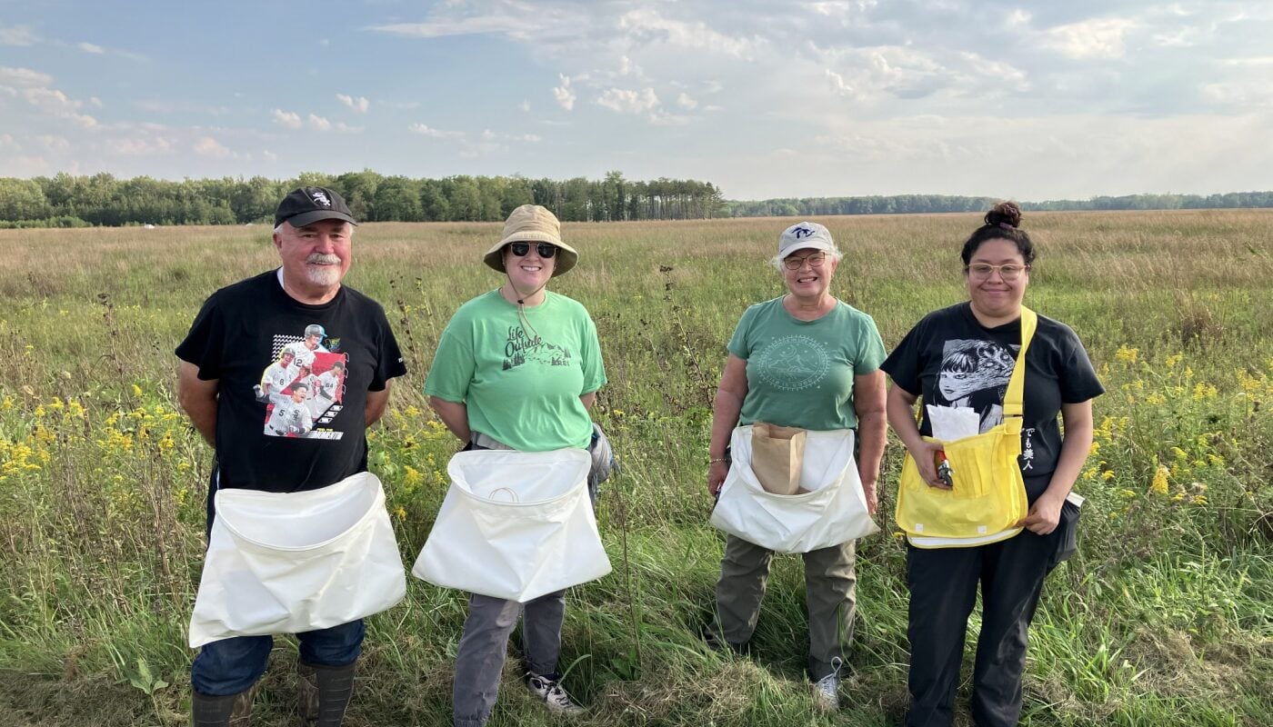 A group of people standing in a grassy meadow during a seed collecting event.
